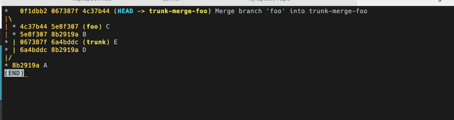 Git Parents Log